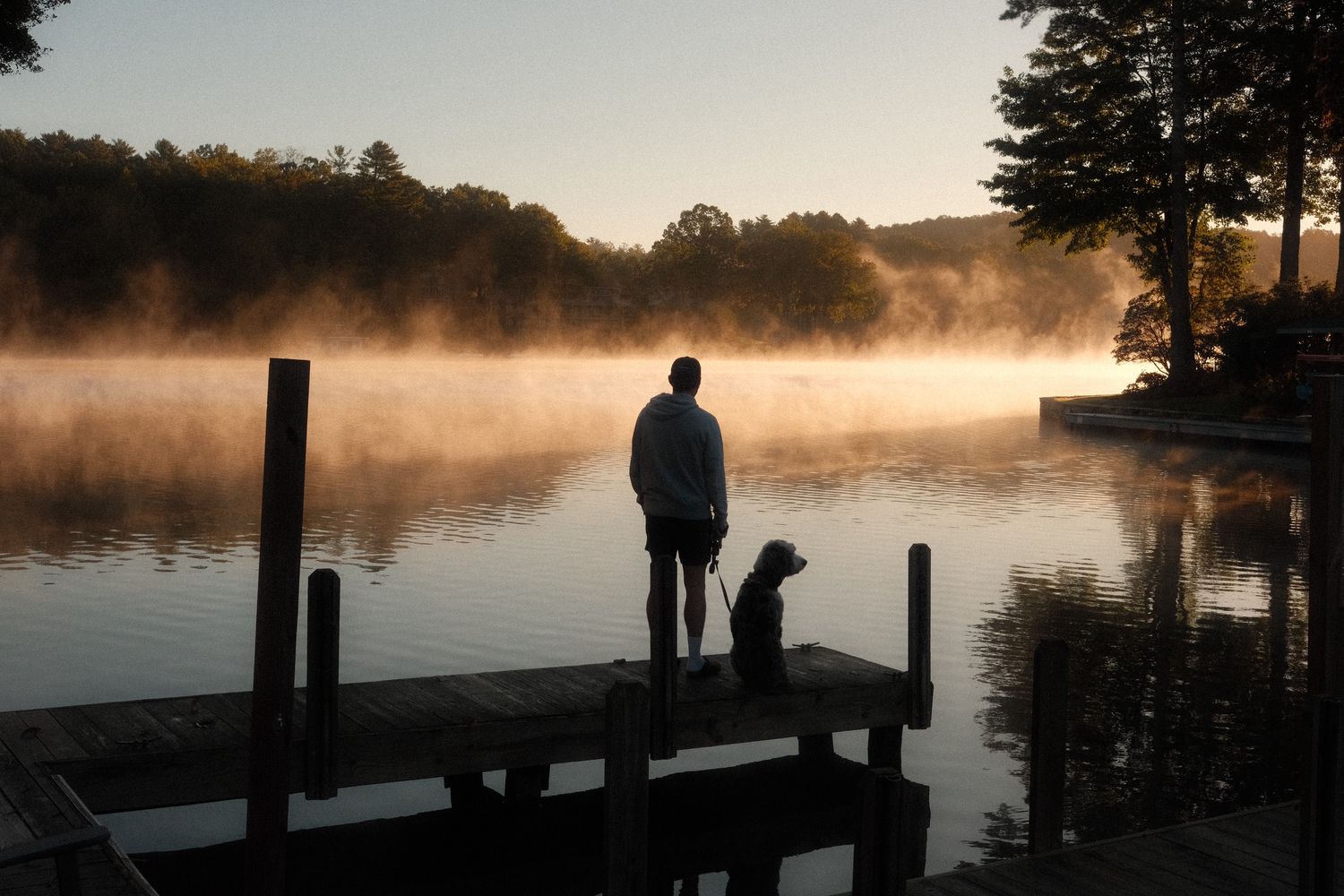 A person and a dog on a dock at a misty lake at sunrise